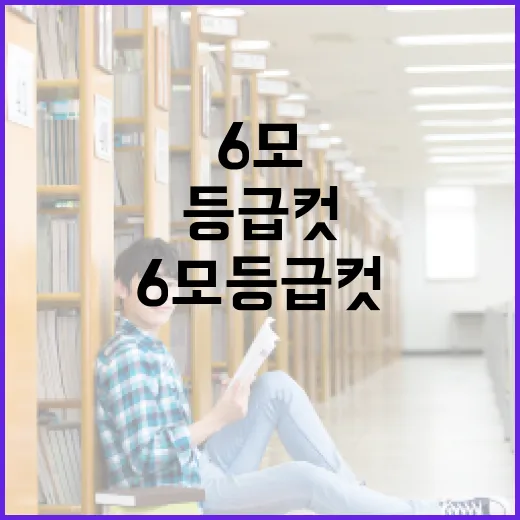 6모 등급컷 이해하기: 어떻게 활용할까? - 요약