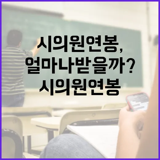 시의원 연봉, 얼마나 받을까? - 요약