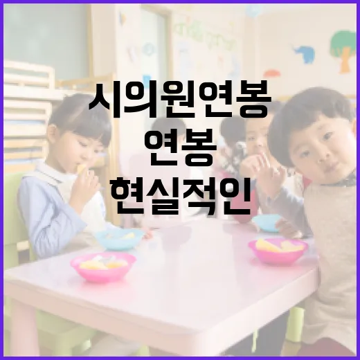 시의원 연봉이 궁금하다면? 현실적인 이야기 - 요약