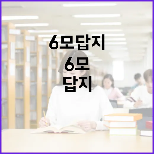 6모 답지를 활용하는 현명한 방법 - 요약