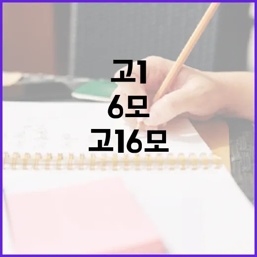 고1 6모 준비하는 방법: 실전 팁과 노하우 - 요약