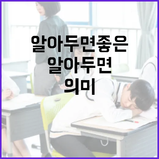 알아두면 좋은 일베의 진짜 의미 - 요약