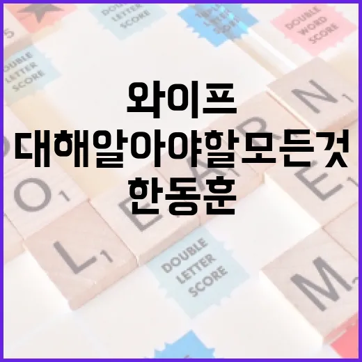 한동훈 와이프에 대해 알아야 할 모든 것 - 요약