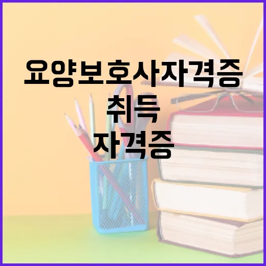 요양보호사 자격증 취득을 위한 모든 것 - 요약