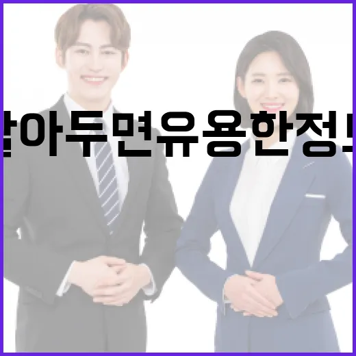 일베 뜻과 그 영향: 알아두면 유용한 정보 - 요약