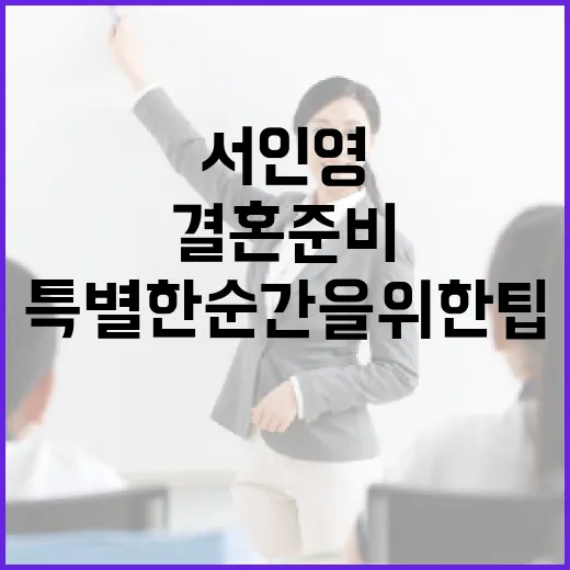 서인영의 결혼 준비: 그녀의 특별한 순간을 위한 팁 - 요약