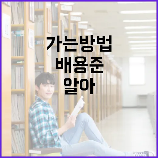 배용준의 매력을 알아가는 방법 - 요약