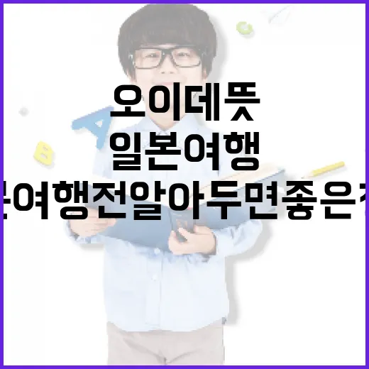 오이데 뜻과 활용법: 일본 여행 전 알아두면 좋은 정보 - 요약