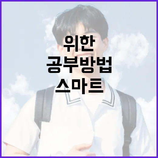 수능 성공을 위한 스마트한 공부 방법 - 요약