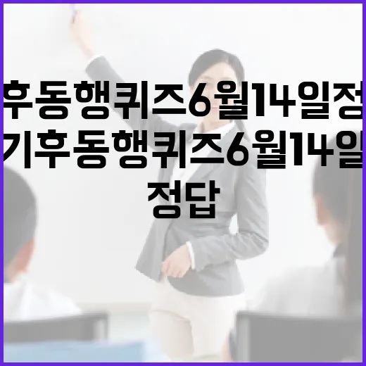 기후동행퀴즈 6월 14일 정답을 맞추는 스마트한 방법 - 요약
