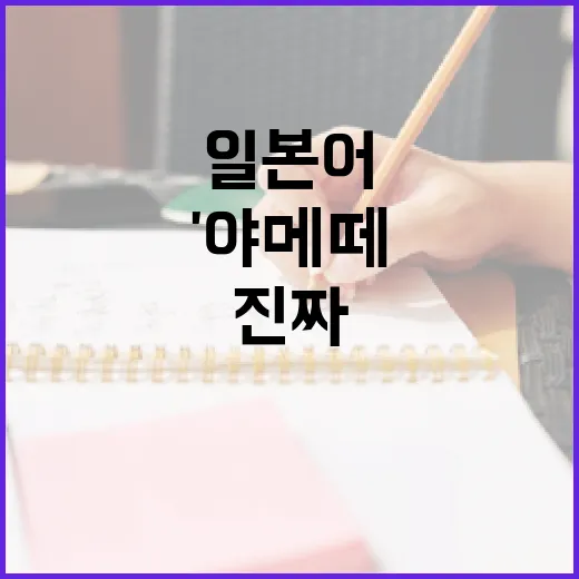 일본어 '야메떼'의 진짜 의미와 활용법 - 요약