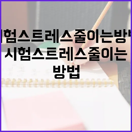 시험 스트레스 줄이는 방법 - 요약