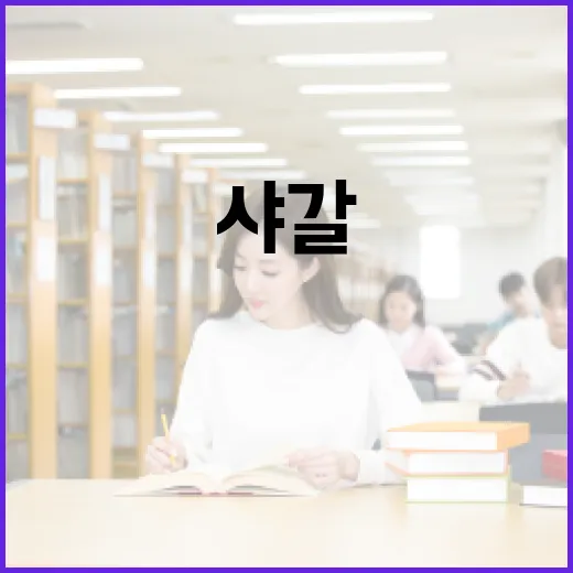 신조어 '샤갈'의 뜻과 유래, 그리고 문화적 맥락 - 요약