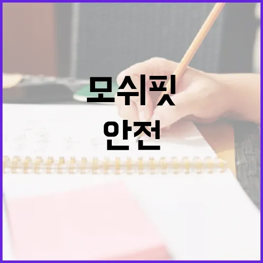모쉬핏에 안전하게 참여하는 방법 - 요약
