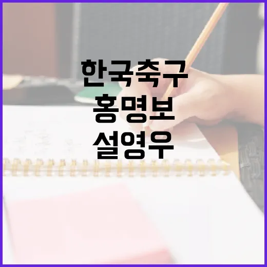 설영우와 홍명보: 한국 축구의 새로운 바람 - 요약
