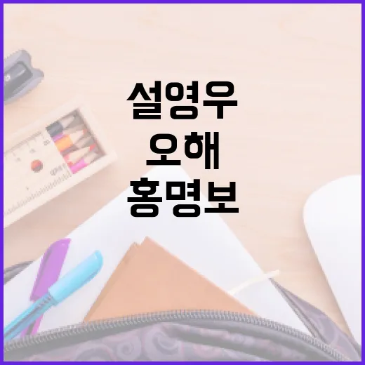 설영우 홍명보 관계를 오해 없이 이해하는 방법 - 요약