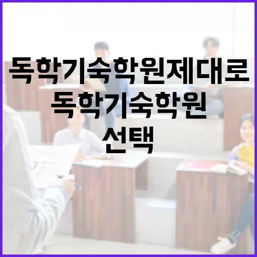 독학기숙학원 제대로 선택하는 방법, 초보자가 놓치기 쉬운 기준 - 요약