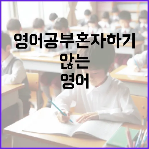 영어공부혼자하기 초보자가 3개월 동안 흔들리지 않는 방법 - 요약