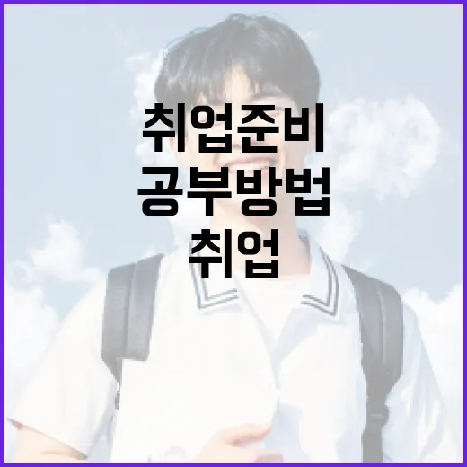 취업 준비를 꾸준히 굴러가게 만드는 공부 방법 - 요약