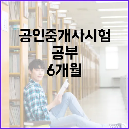 공인중개사시험 초보자가 6개월 공부하려면 이렇게 잡으세요 - 요약