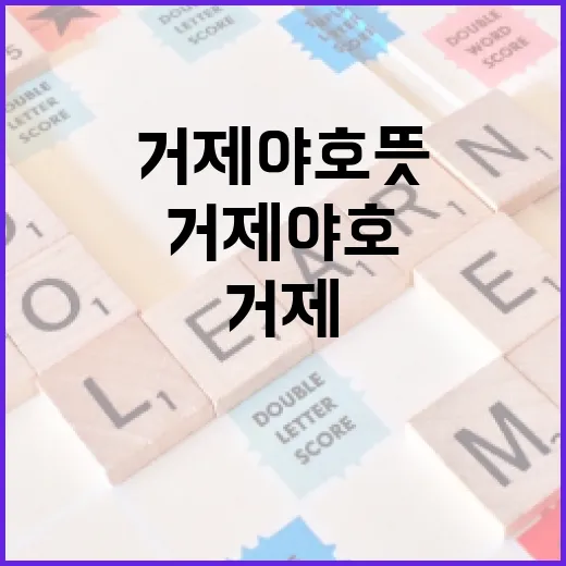 거제 야호 뜻 헷갈릴 때 확인하는 방법 - 요약