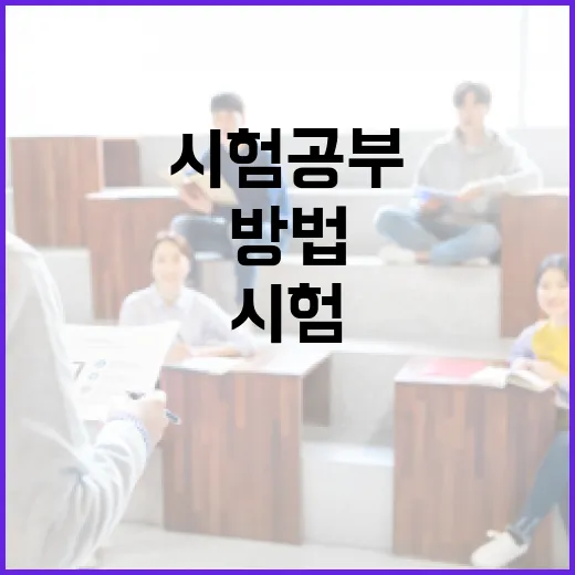 고산 엄철용 자료를 찾고 시험 공부에 연결하는 방법 - 요약