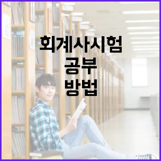 초보자를 위한 회계사시험 준비 방법: 1년을 버티는 공부 시스템 - 요약