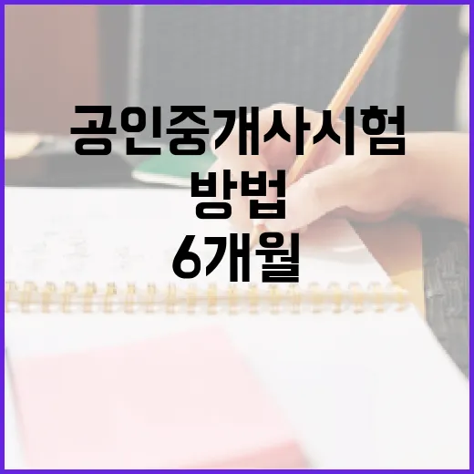 공인중개사시험 초보자가 6개월 동안 합격권으로 가는 방법 - 요약