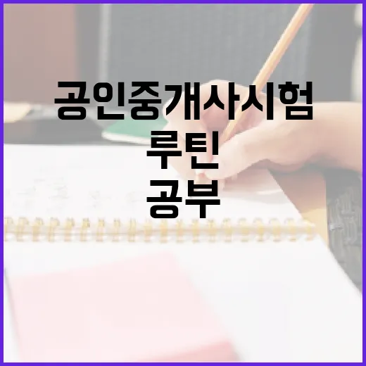 공인중개사시험 초보자가 1년 안에 공부 루틴 만드는 방법 - 요약