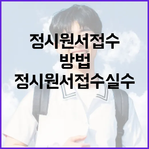 정시원서접수 실수 줄이는 방법, 초보자는 이렇게 준비하면 됩니다 - 요약