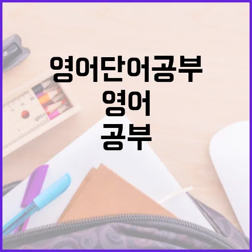 말해보카로 영어 단어 공부를 꾸준히 굴리는 방법 - 요약
