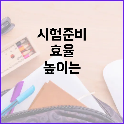 레버리지 공부법으로 시험 준비 효율 높이는 방법 - 요약