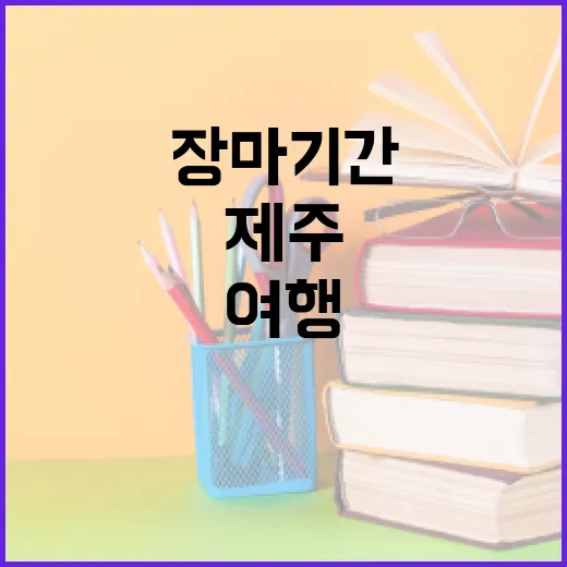 2026 제주 장마기간 맞춰 여행·시험공부 계획하는 방법 - 요약
