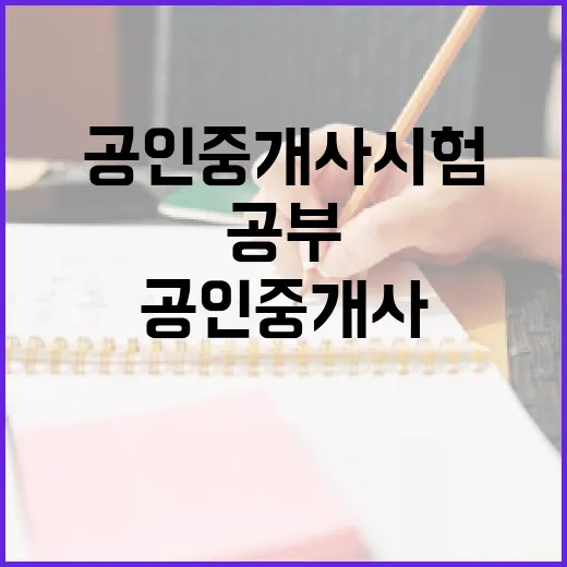 공인중개사시험 처음 준비하려면 이렇게 공부 시간을 잡으세요 - 요약