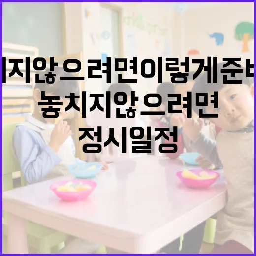 정시일정 놓치지 않으려면 이렇게 준비하세요 - 요약