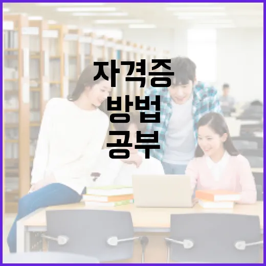 자격증 공부를 꾸준히 굴리는 방법, 초보자는 이렇게 시작하면 덜 흔들립니다 - 요약