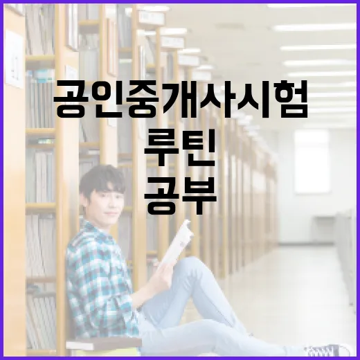 공인중개사시험 초보자가 6개월 공부 루틴 잡는 방법 - 요약
