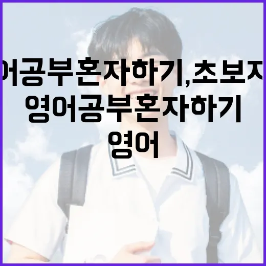 영어공부혼자하기, 초보자가 3개월 동안 무너지지 않게 굴리는 방법 - 요약