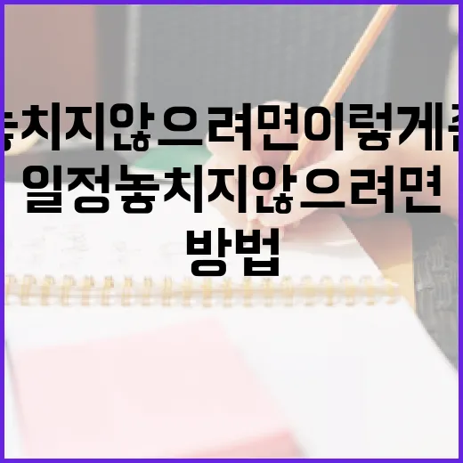 정시일정 놓치지 않으려면 이렇게 준비하는 방법 - 요약