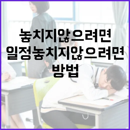 정시일정 놓치지 않으려면 이렇게 관리하는 방법 - 요약