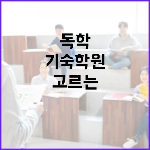 독학기숙학원 제대로 고르는 방법, 초보자가 놓치기 쉬운 기준 - 요약