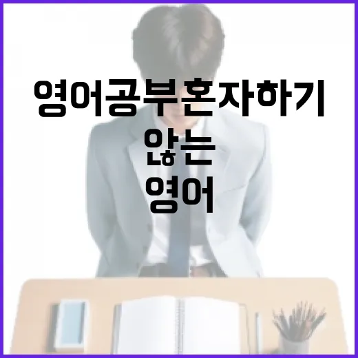 영어공부혼자하기, 초보자가 3개월 동안 무너지지 않는 방법 - 요약