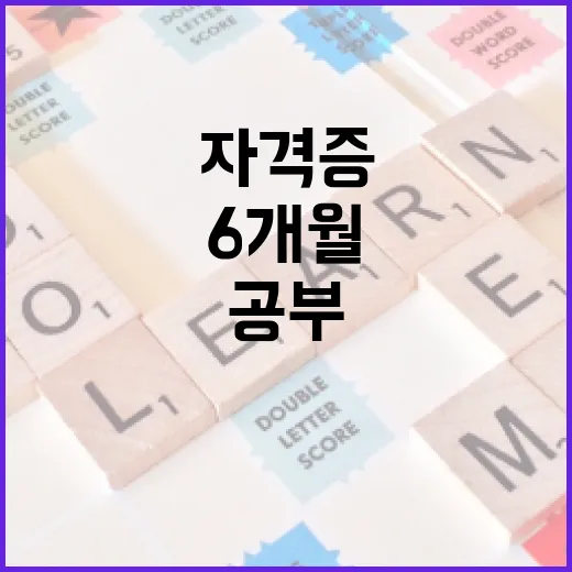 CIA자격증 초보자가 6개월 안에 공부 흐름 잡는 방법 - 요약