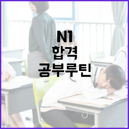 JLPT N1 합격하려면 이렇게 공부 루틴을 잡는 방법 - 요약