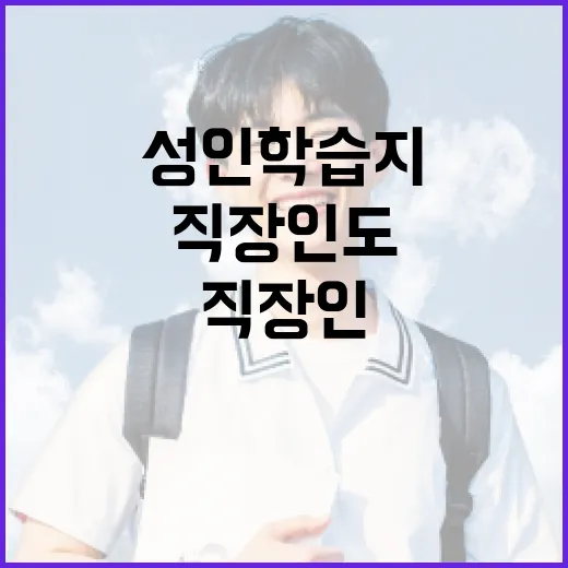 성인학습지 제대로 고르는 방법, 바쁜 직장인도 끝까지 가려면 이렇게 - 요약