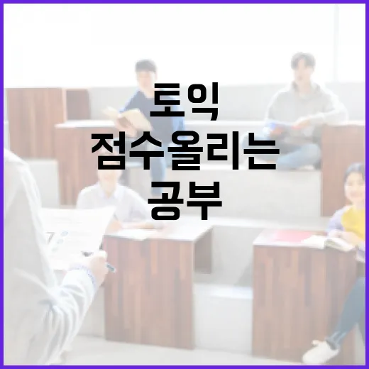 토익공부 초보자가 8주 동안 점수 올리는 방법 - 요약