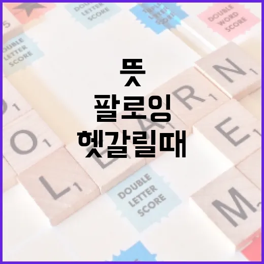 팔로잉 뜻 헷갈릴 때 이렇게 구분하는 방법 - 요약