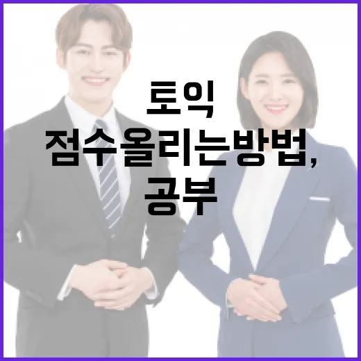 해커스토익으로 점수 올리는 방법, 초보자도 굴러가게 만드는 4주 공부 루틴 - 요약