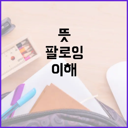팔로잉 뜻 헷갈리지 않게 이해하는 방법 - 요약