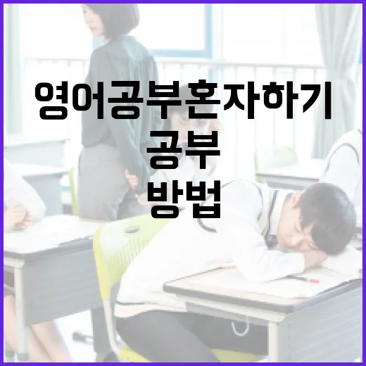 영어공부혼자하기, 초보자가 3개월 동안 꾸준히 굴리는 방법 - 요약